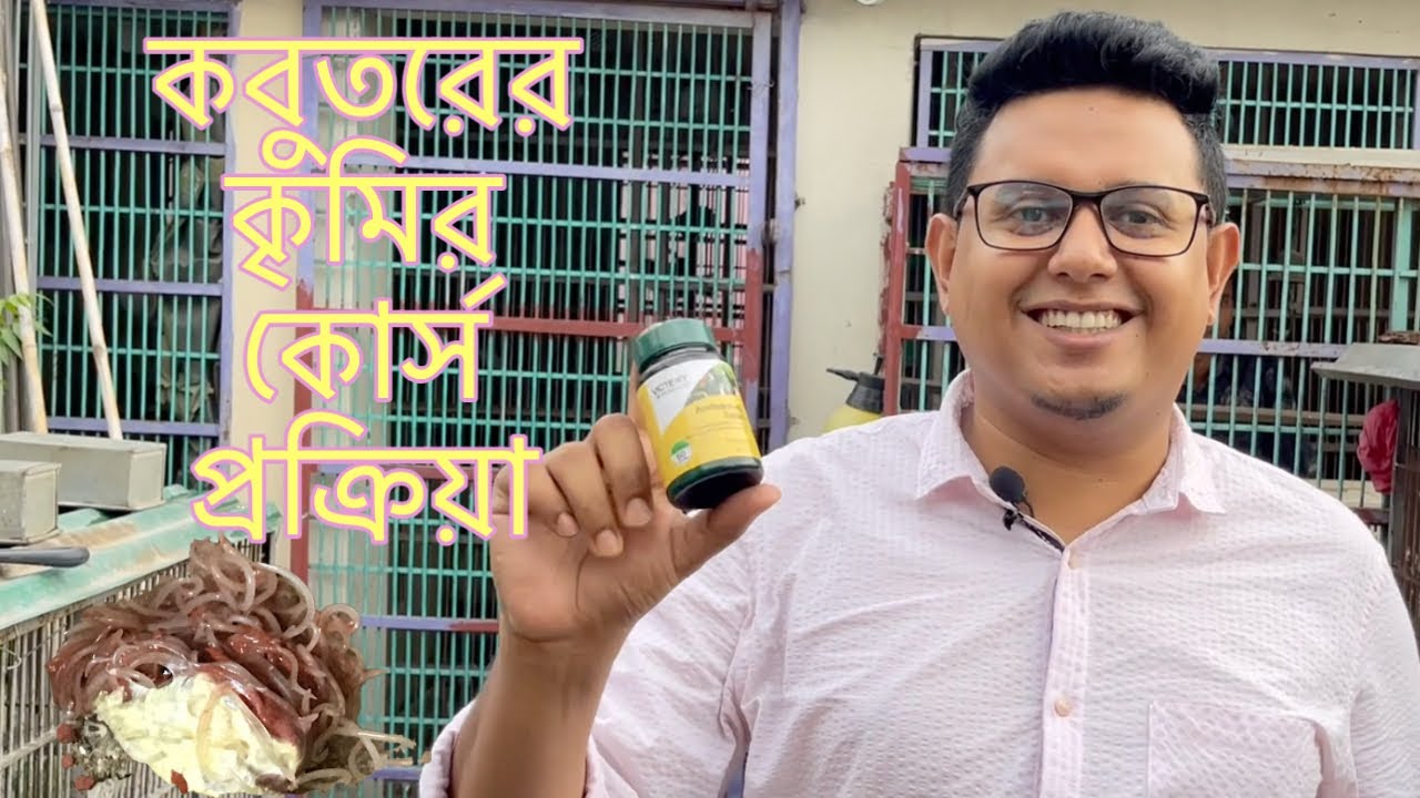 Pigeons deworming process | কবুতরের কৃমির কোর্স প্রক্রিয়া, আগে ও পরে করনীয়