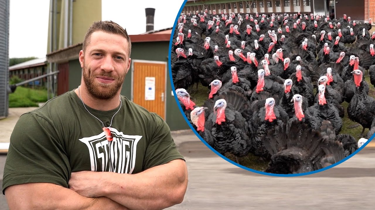Putenhaltung | bio vs konventionell | So geht Tierhaltung