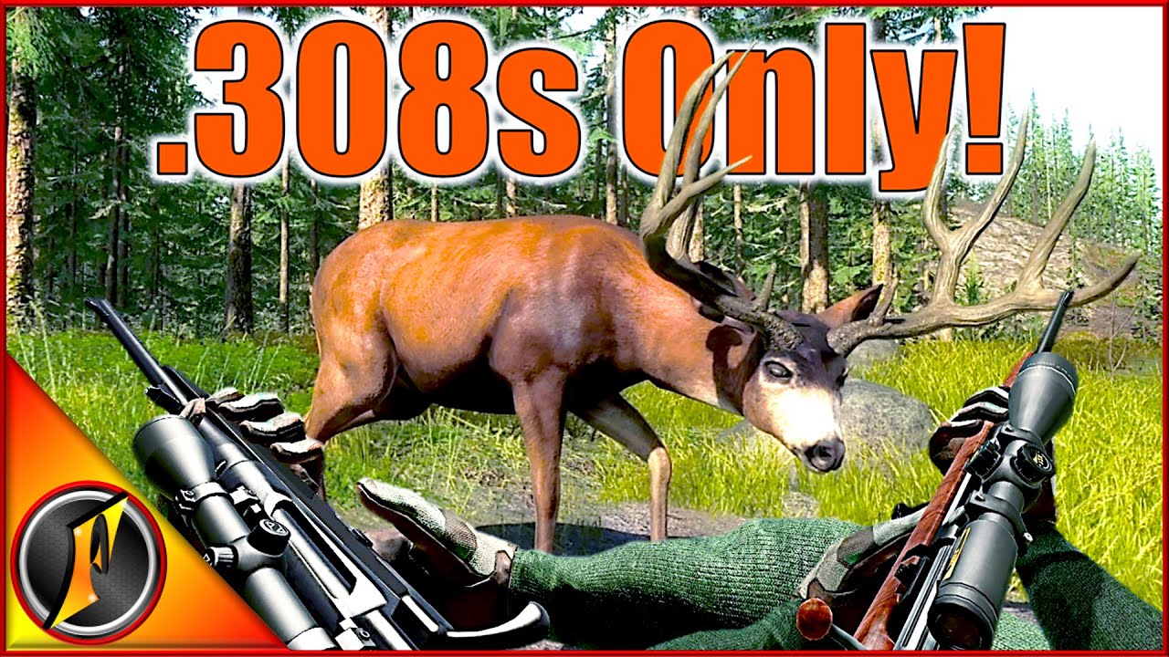 .308s Only Hunt! | Thank You for 308k!