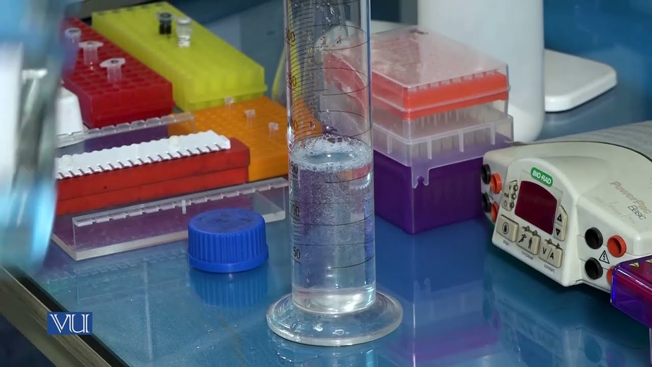 Gel Electrophoresis | Cell and Molecular Biology (Practical) | MB503P_Topic006