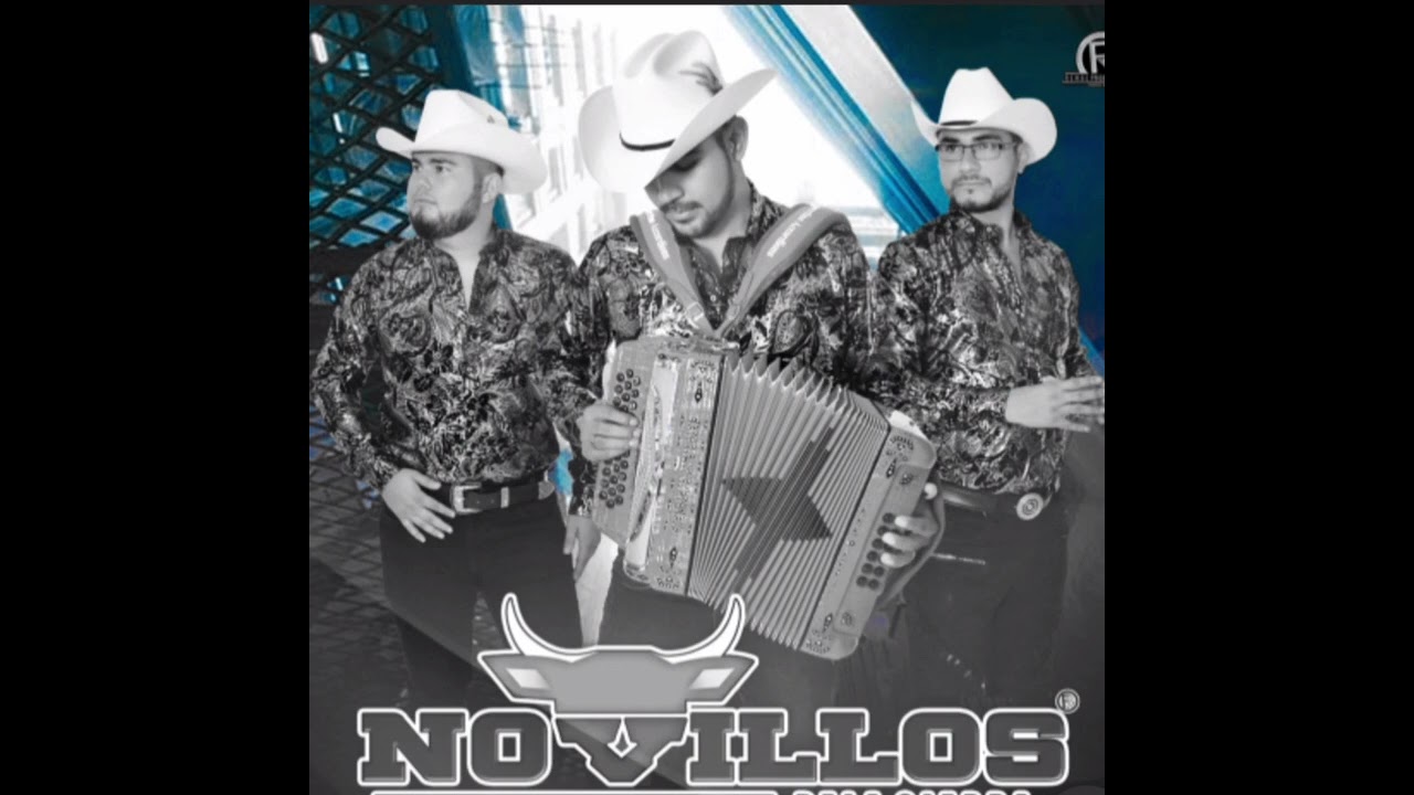 Novillos De La Sierra - La Teodorita , En Vivo Fiesta Privada