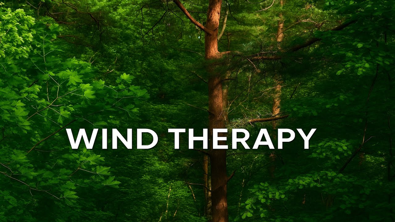 Wind Sounds for Sleeping — 9 Hours Forest Breeze (No Music) 4K