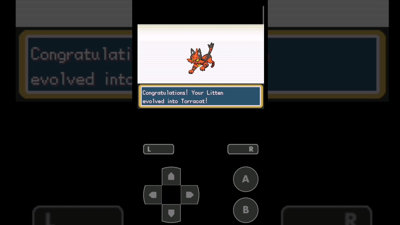 Evolution of Litten || #shorts #pokemon #evolution #litten  #torracat