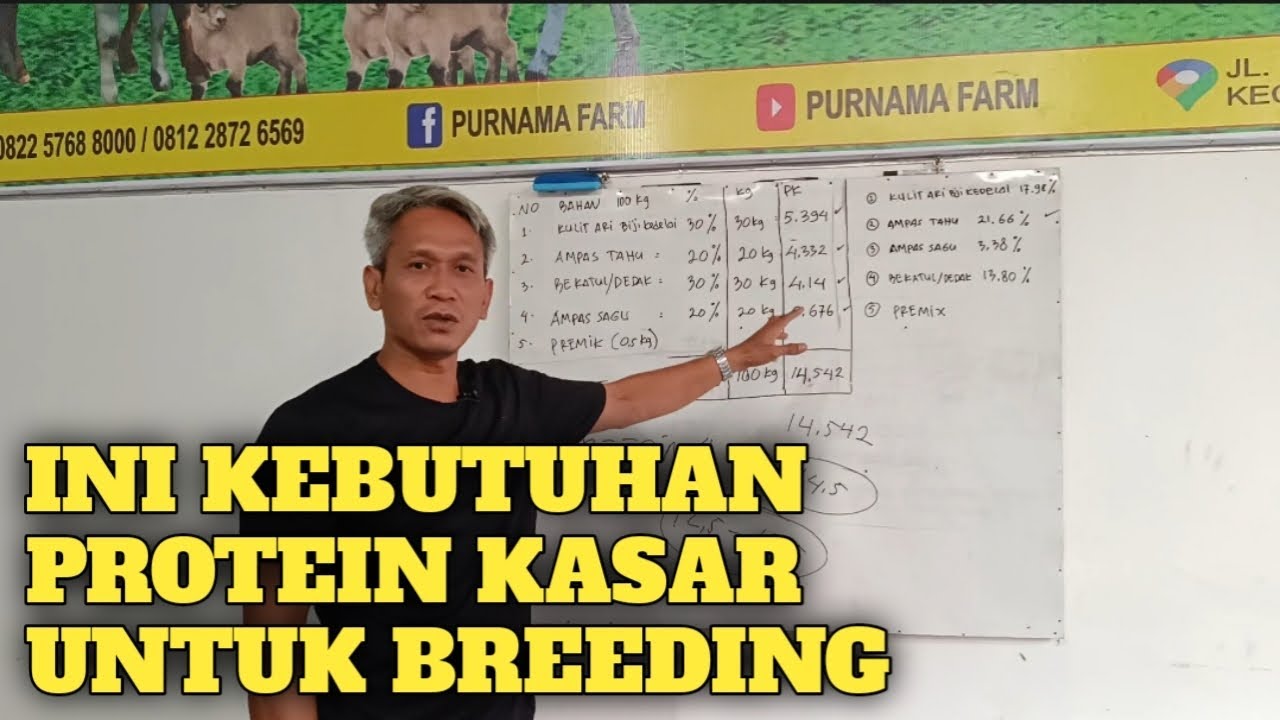 CARA MENGHITUNG PROTEIN KASAR UNTUK BREEDING !!!
