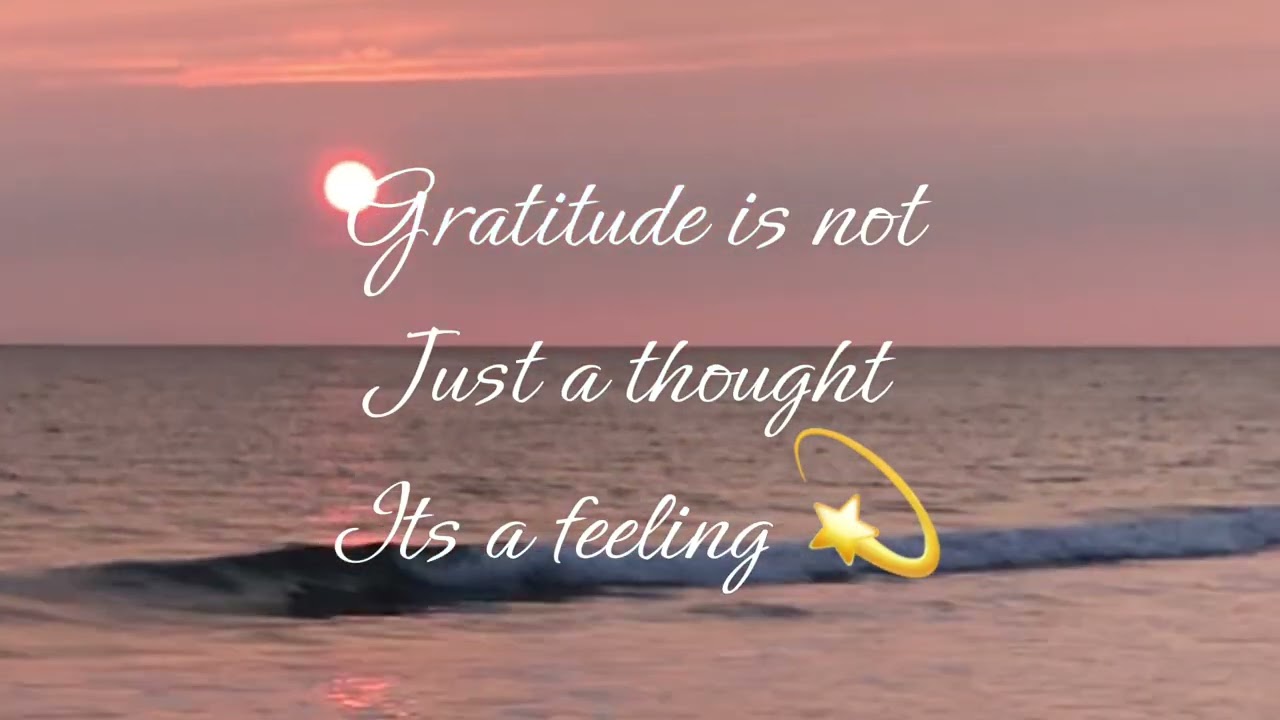 A moment of Gratitude