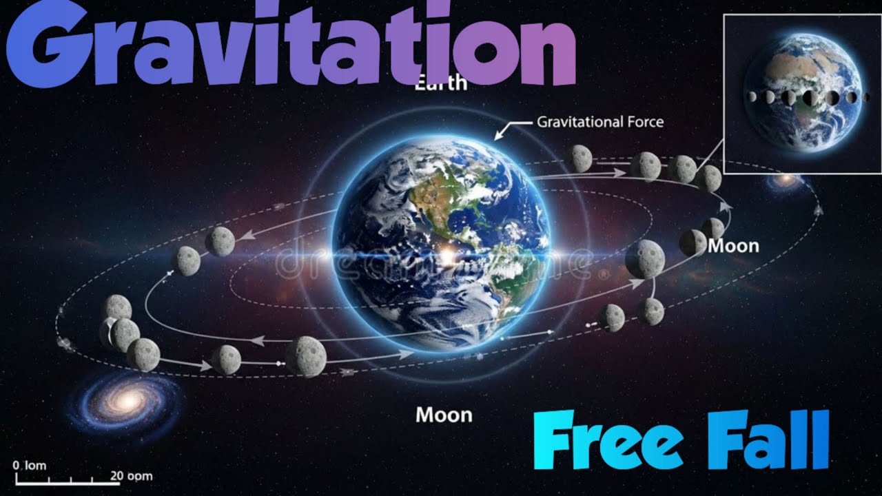 Gravitation Class 10th 🔥🔥 || Complete free fall in 5 minutes #trending #Gravitation