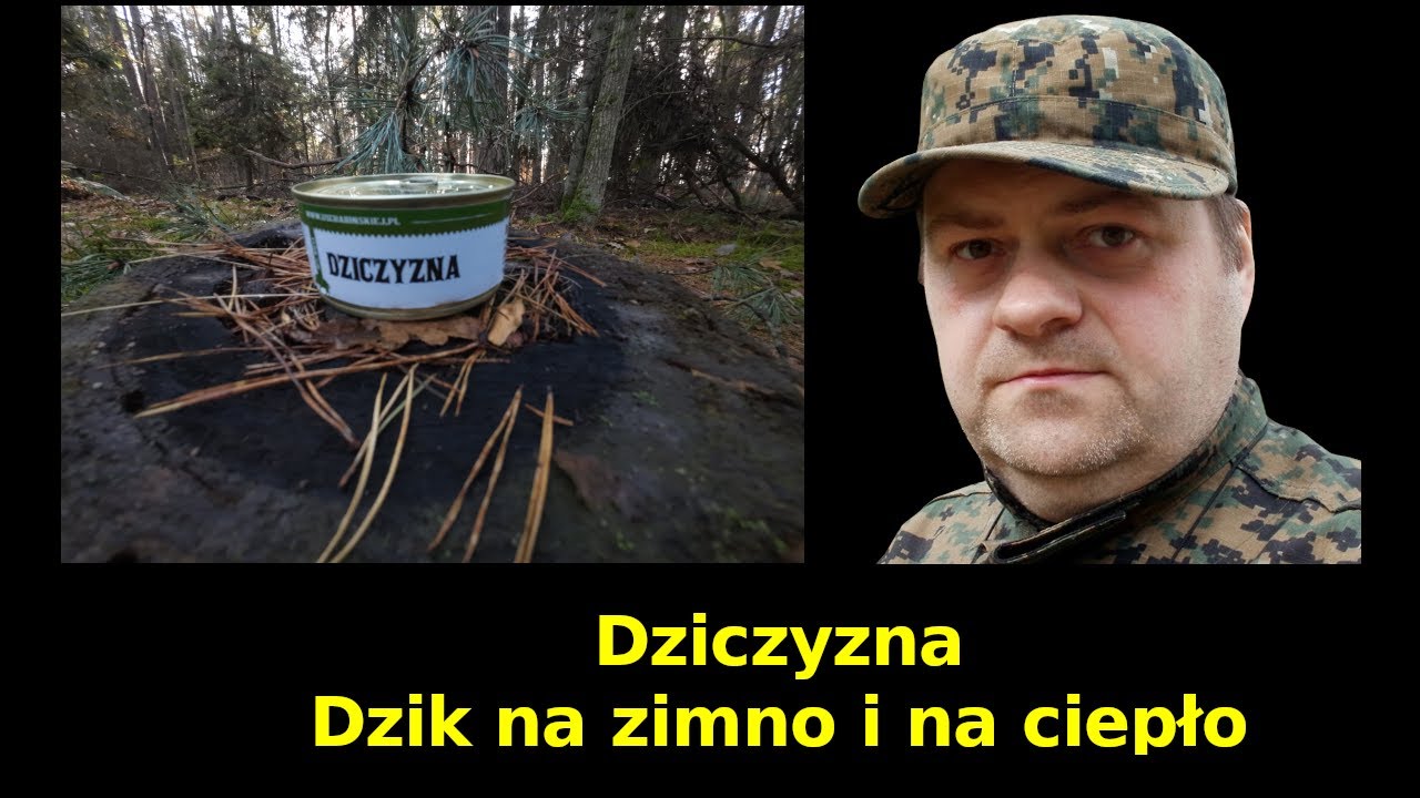 U Schabińskiej - Dziczyzna (dzik na zimno i na ciepło z dodatkami)