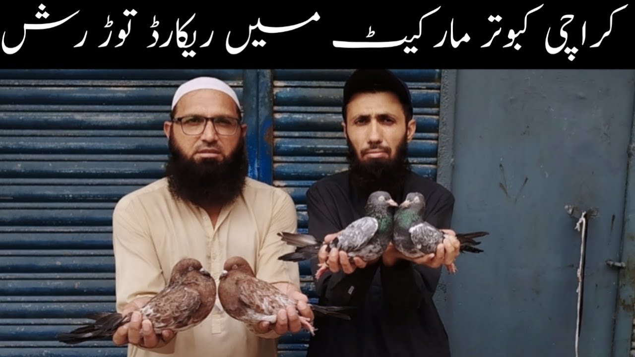 Kabootar Market Karachi Saddar Sunday Video Latest Update 4-8-2024 in Urdu/Hindi