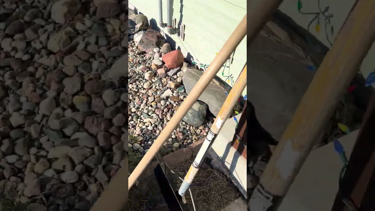 Minnesota's Best Rust 191