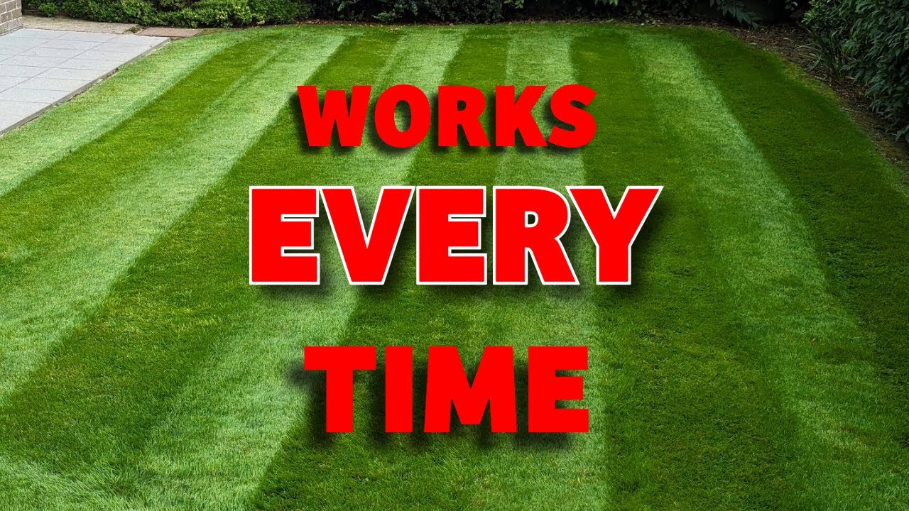How To Get a Thick, Green, Lush Lawn (Even If You&rsquo;re a Total Beginner!)