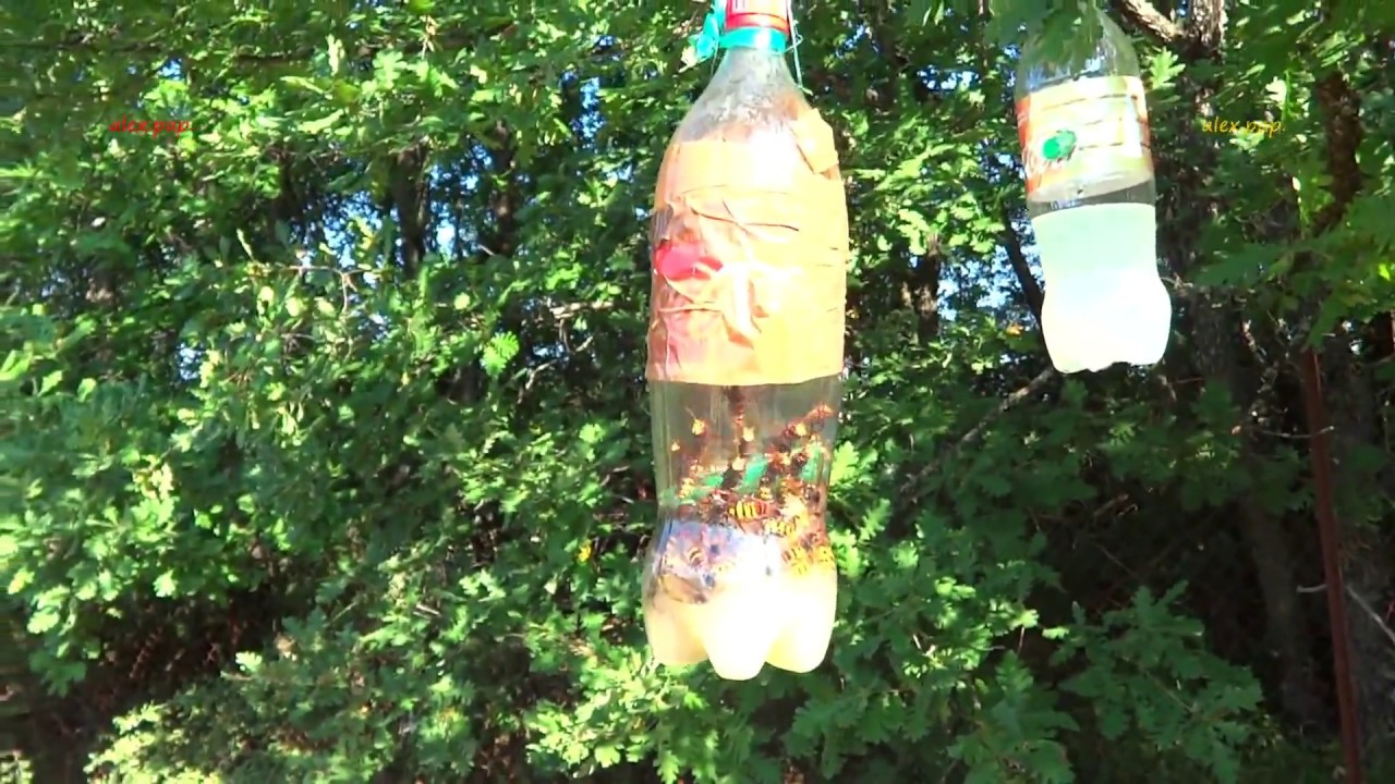 Παγίδες σε δράση για Σερσένια - Active traps