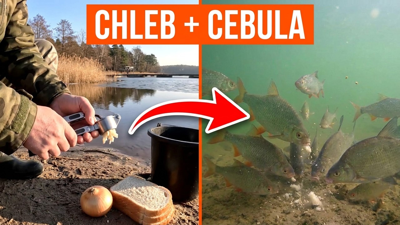 Reakcja ryby na chleb z cebulą zaskoczyła wszystkich!