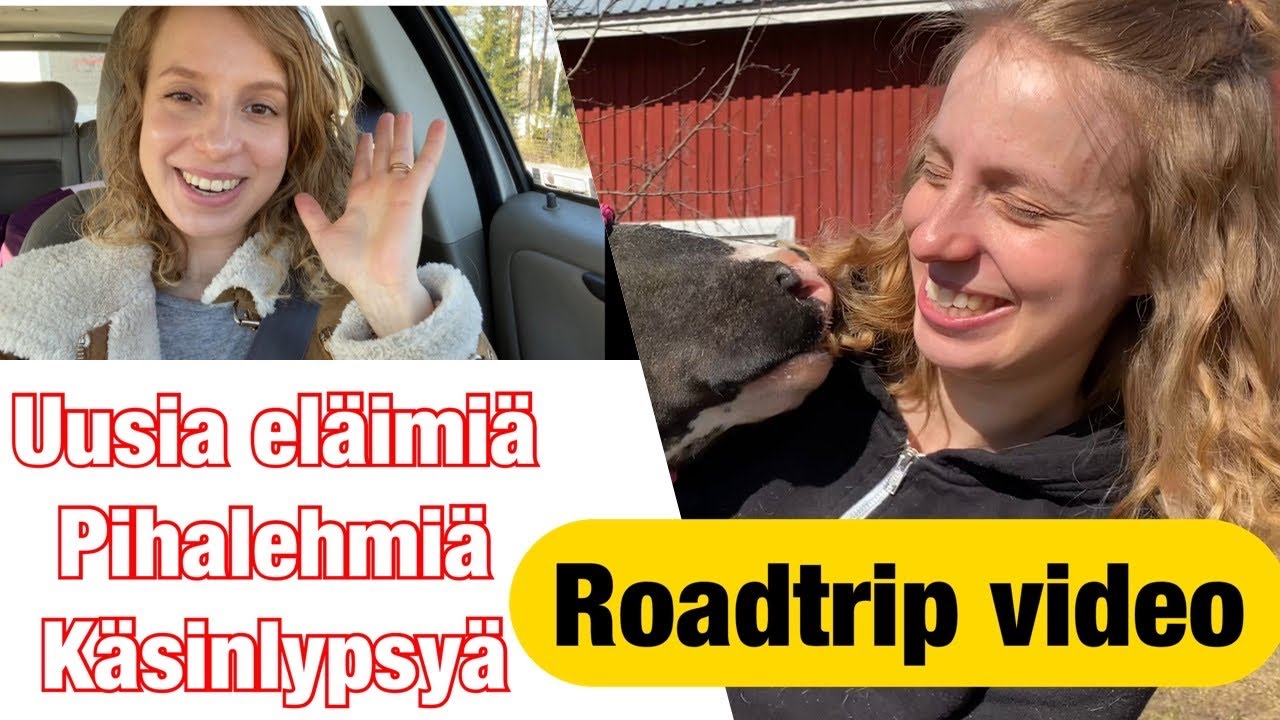 Maatilan ostoeläimet