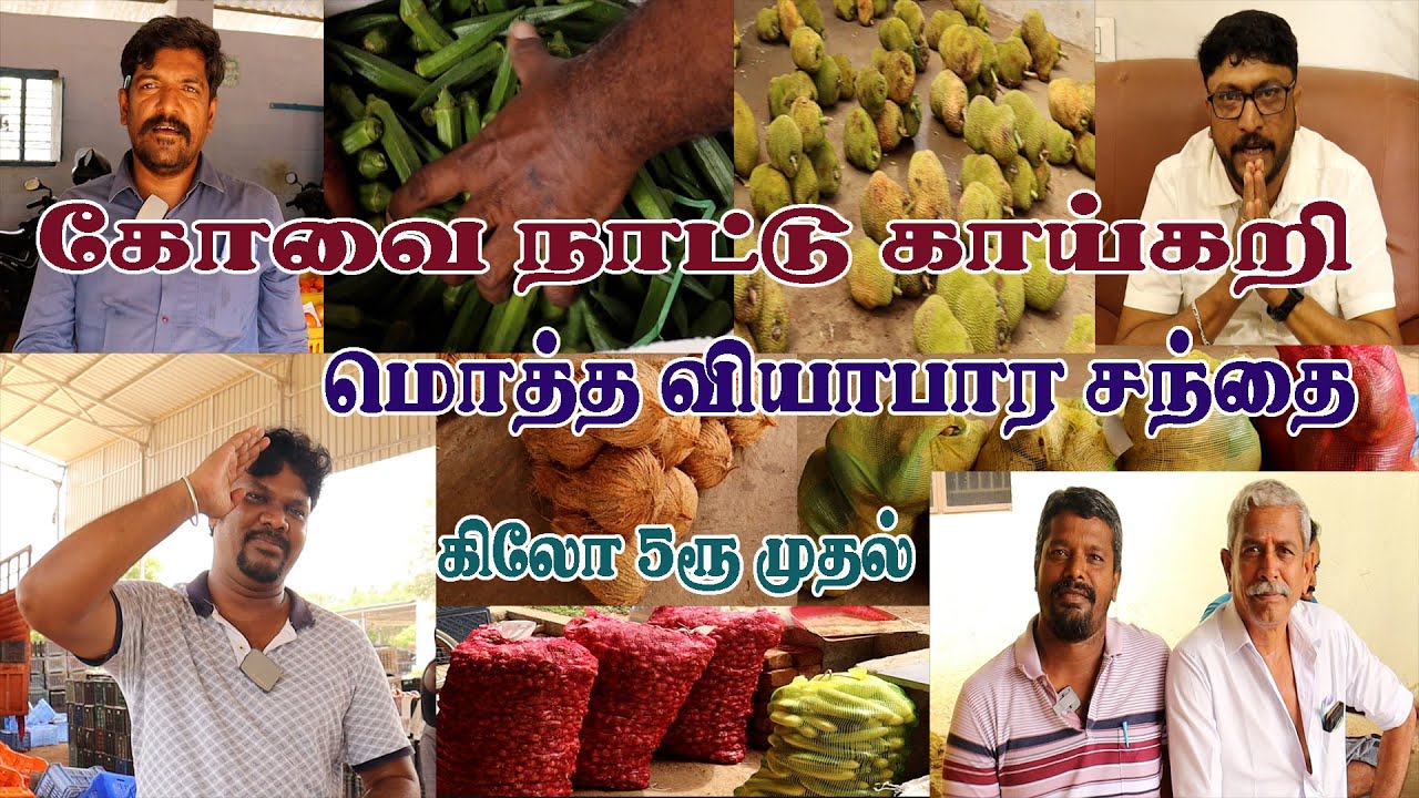 Fresh Vegetable wholesale market in Coimbatore / நாட்டு காய்கறி சந்தை #vegetables #wholesale