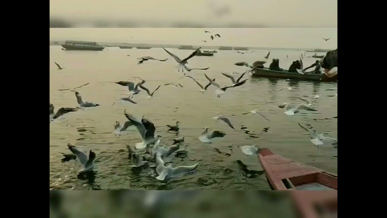 Kashi Vishwanath status | Varanasi status | Banaras status |Kashi Ghat Status | Ganga Ghat Status |