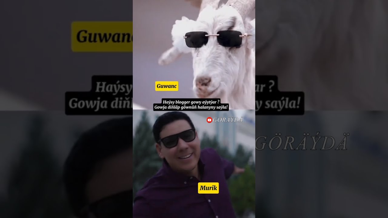 Haýsy ses belläp geç #agzabol #turkmenrep #rek #tazelikler
