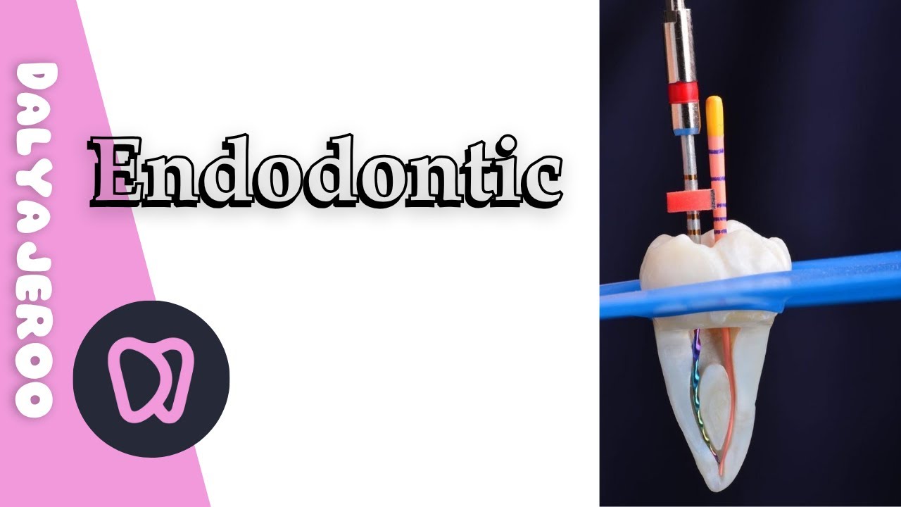 Types of the root canal from 1 to 8 | شرح بطريقة بسيطة جداً