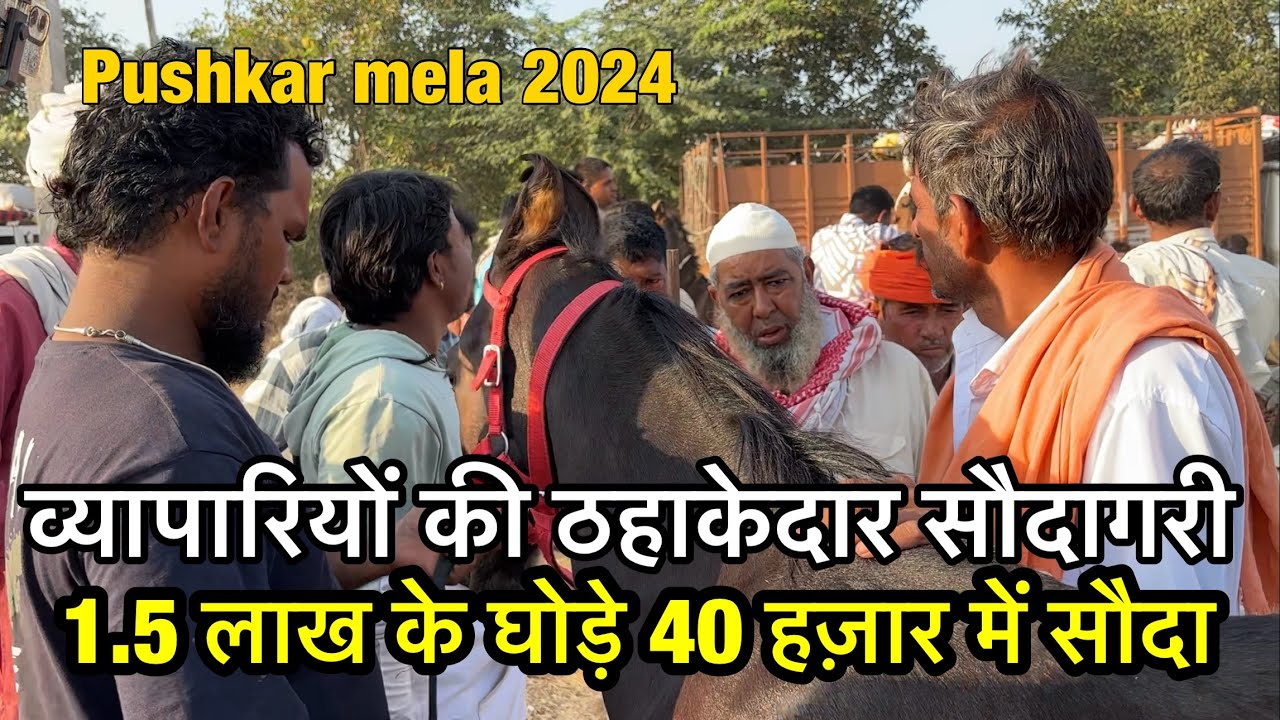 1.5 लाख के घोड़े का 40 हज़ार में सौदा | live horse deal | Pushkar mela 2024