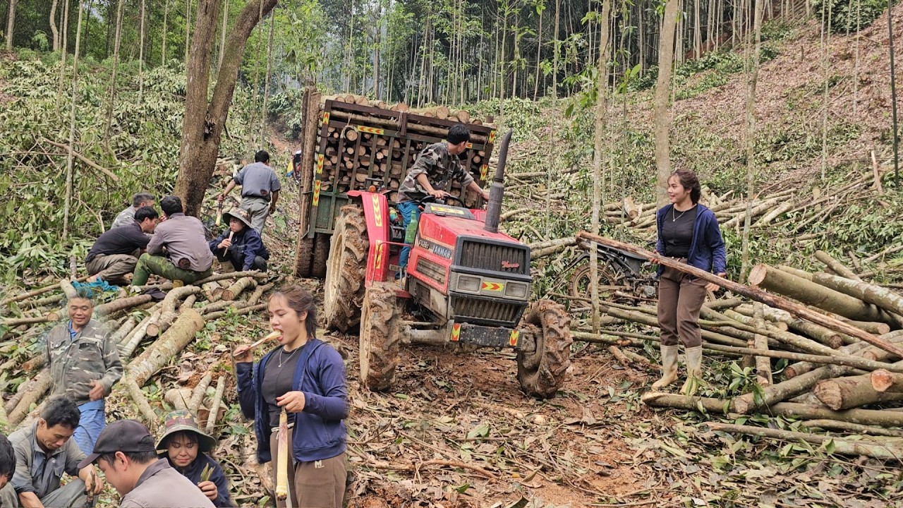 Excavators are clearing a path for trucks to load timber. Binh Found some amazing food.