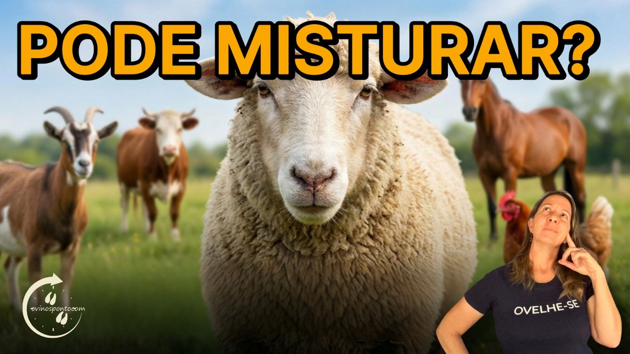 Ovelhas, Vacas e Galinhas: Posso criar tudo junto?