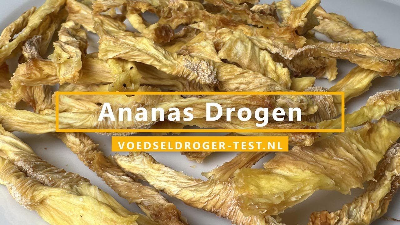 Ananas drogen in voedseldroger | Gedroogde ananasfrietjes