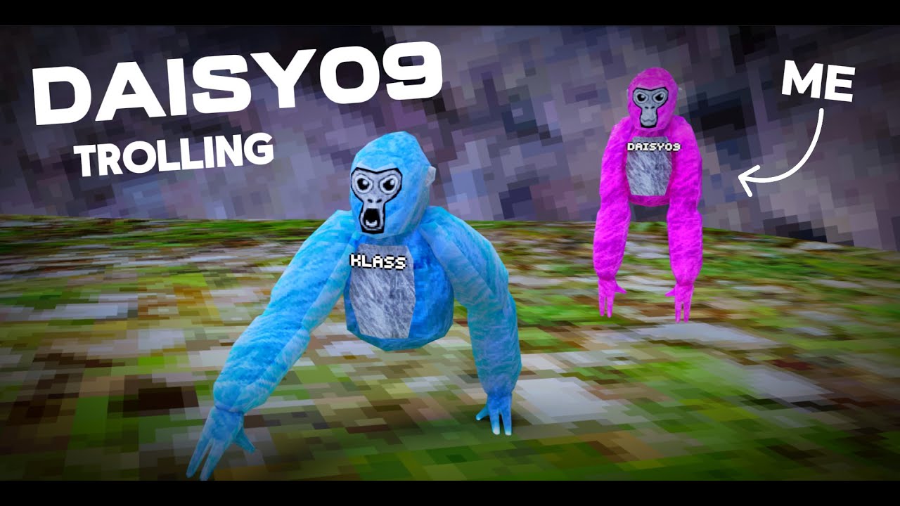 Троллинг под псевдонимом DAISY09 в Gorilla Tag!