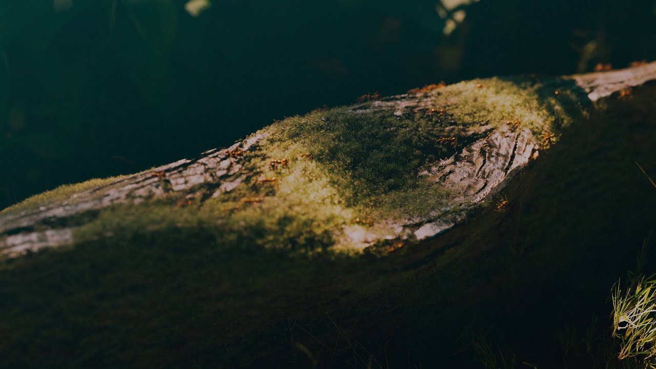 The Little Things That Moves The World