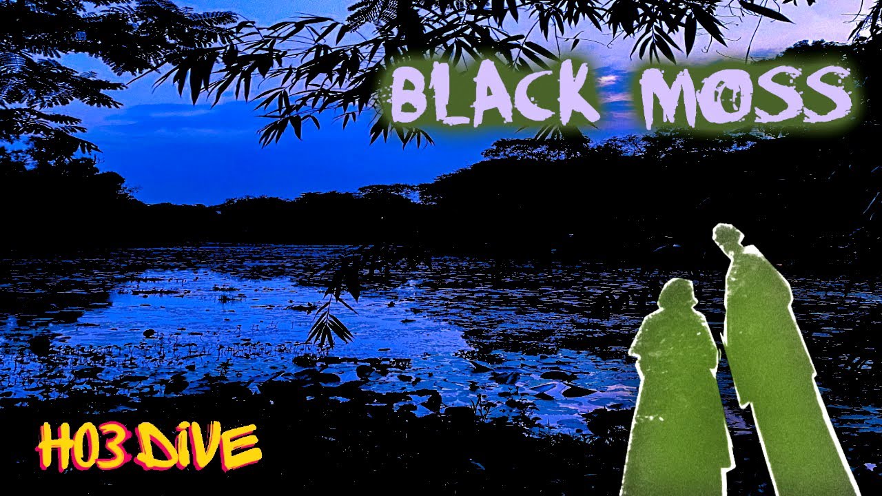 HO3DIVE - BLACK MOSS