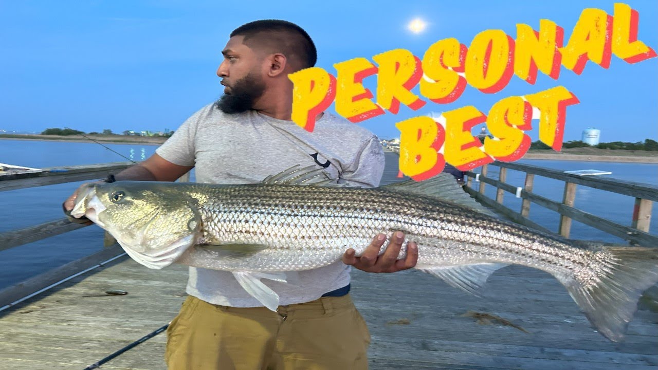 Massive Striper Bite at Keansburg Pier - New Jersey!