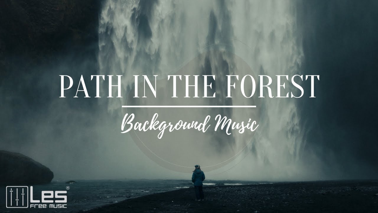 Path in the forest : Acoustic Solo Guitar Sad Dreamy Background Music