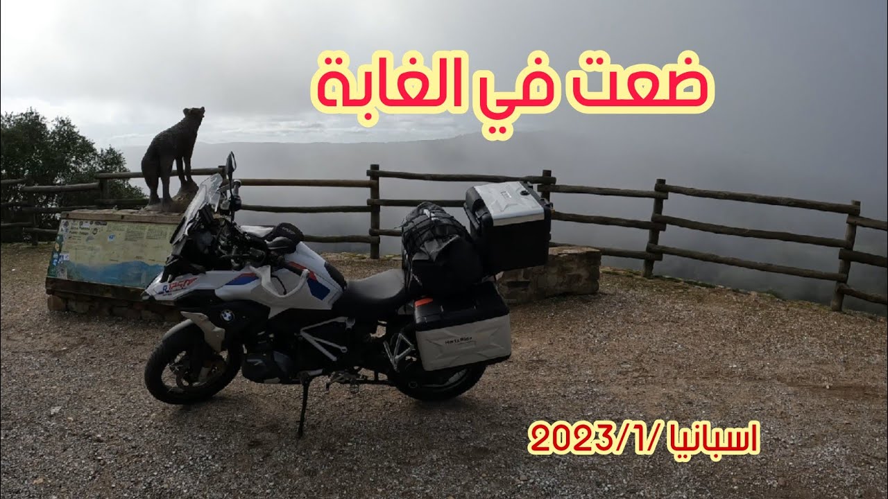 #7  احساس الضياع في الغابة مختلف / قرطبة _ اسبانيا