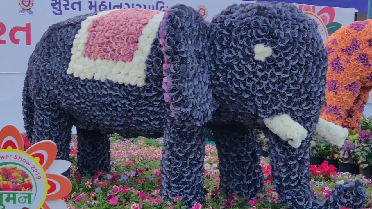 Surat Flower Show 2019 | Surat Events