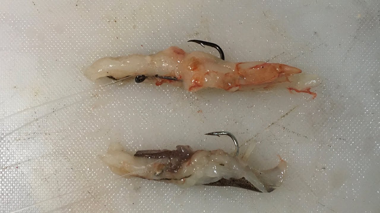 COMO ENCARNAR LANGOSTINO Y CAMARON // LA MEJOR FORMA DE ENCARNAR EL ANZUELO / SURFCASTING