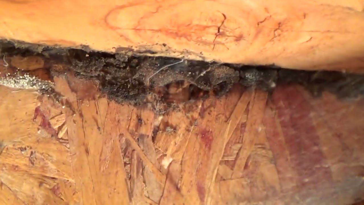 Dry Rot Deck Repairs/Termite Inspection/How to Work Under Deck