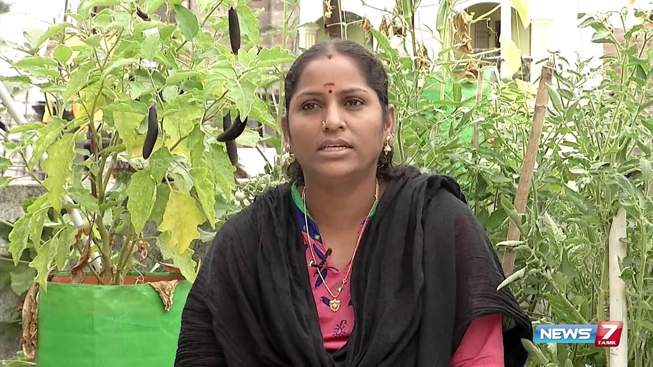 Benefits of terrace gardening & how to create simply @ your home | Poovali | News7 Tamil