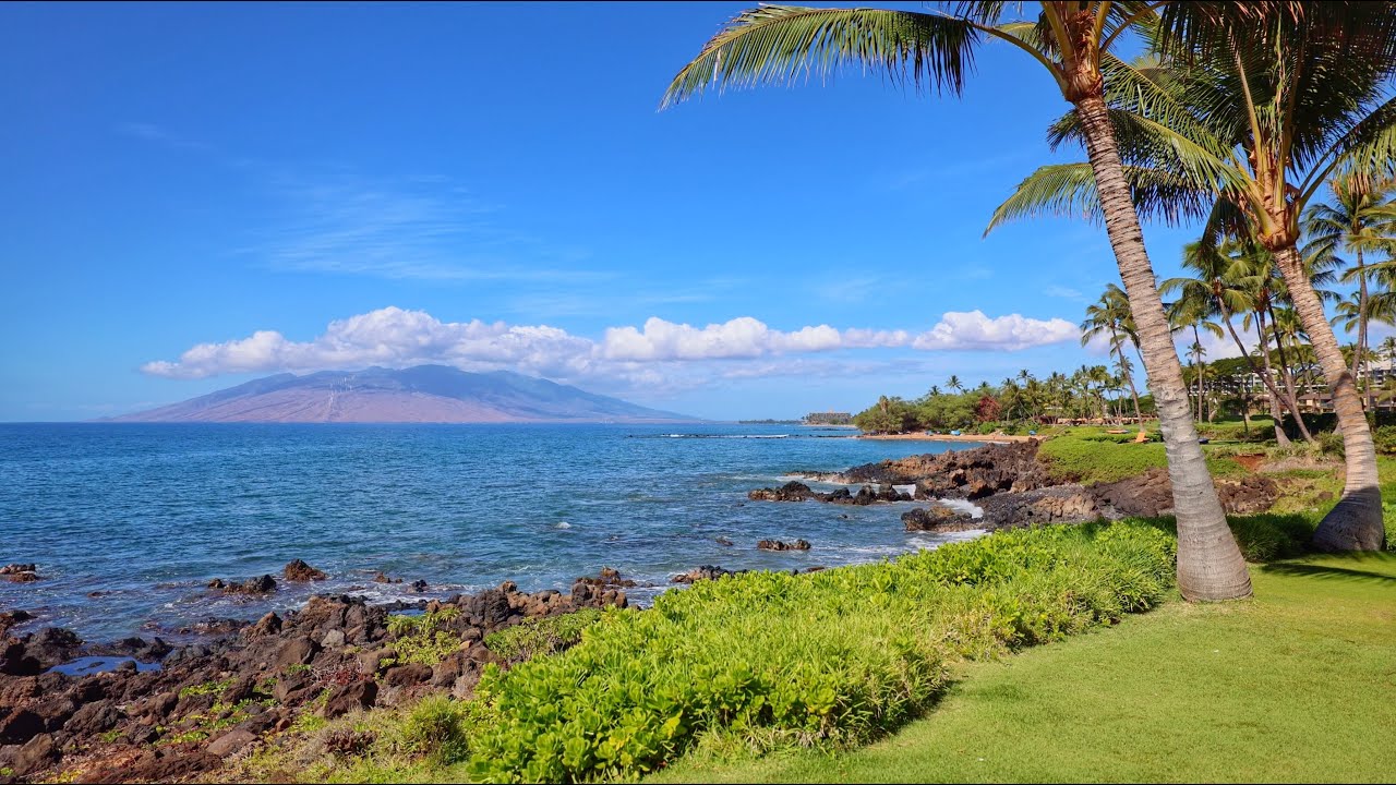 A Perfect Day In Hawaii | High Quality Ocean Sounds 4K