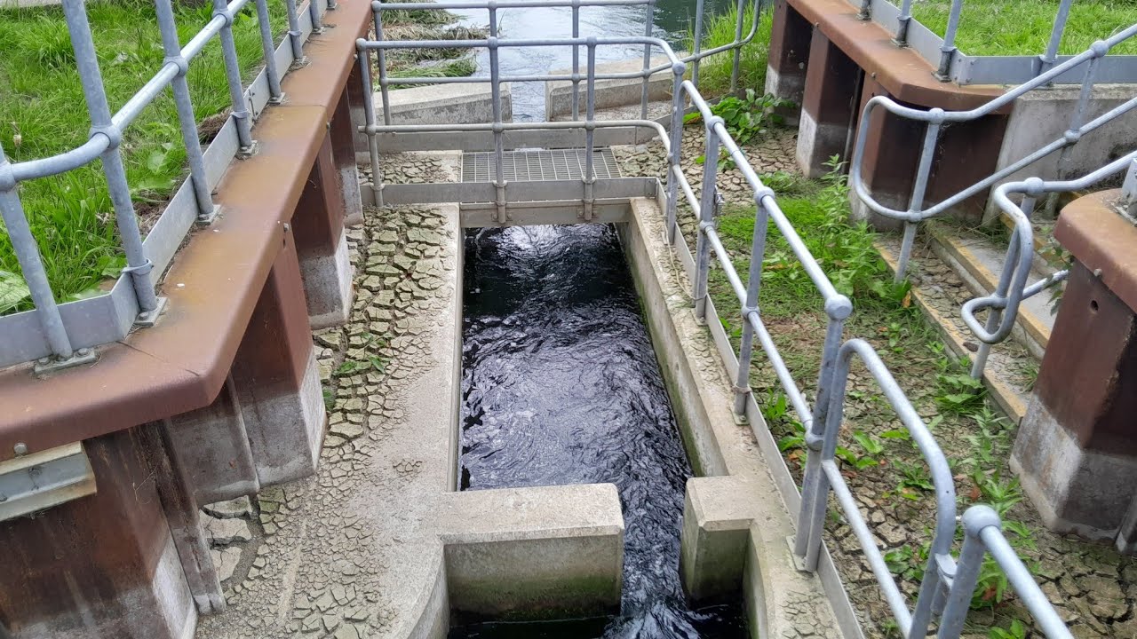 Struncheon Lock Fish Pass River Hull