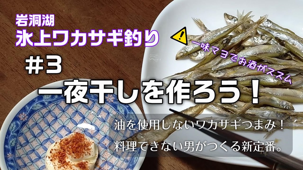 【ワカサギの一夜干し】天ぷらは美味しいけど油が胃にもたれる…な方へ　《ネコおじさんワカサギ釣りへ行く！》
