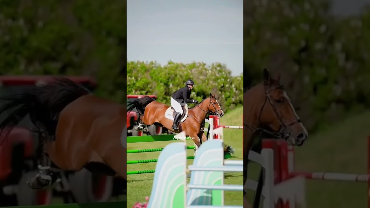 grace!🐴 #equestrain #horse #лошади #рекомендации #рек #subscribe #конныйспорт #audiotiktok