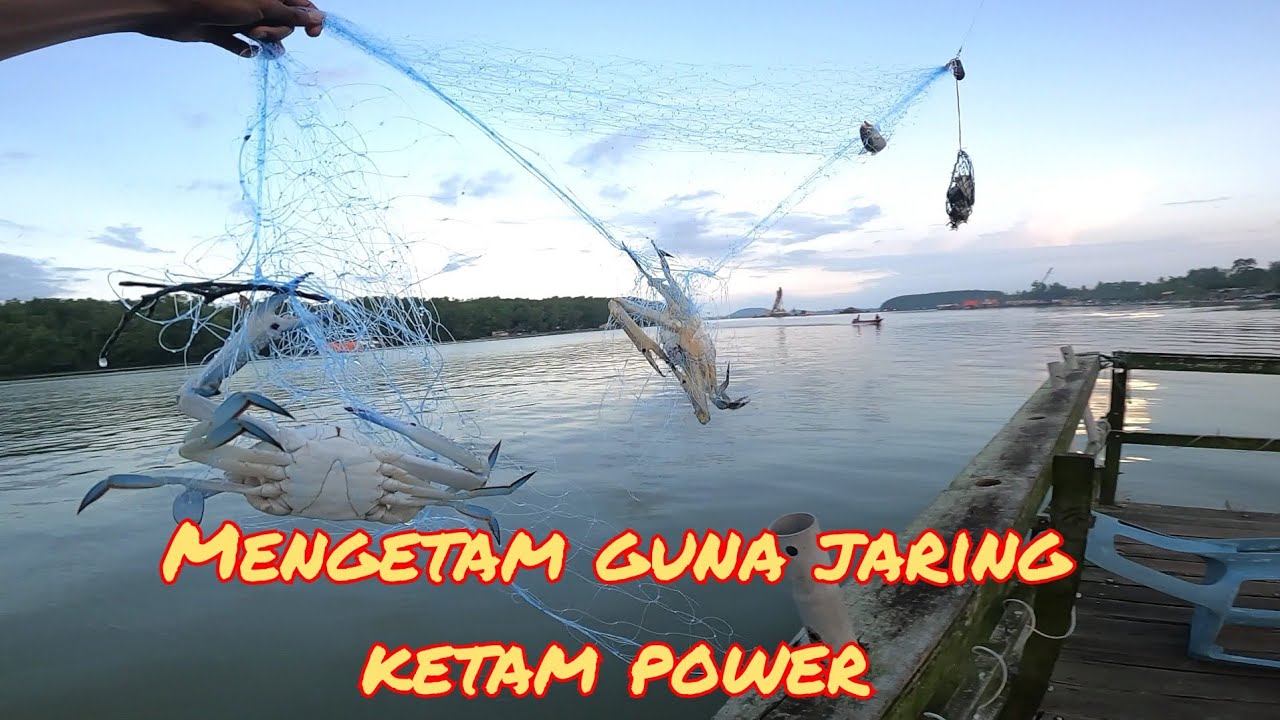 BEST DAPAT BANYAK KETAM|MANCING KETAM DI RAKIT AH KAW KONG KONG