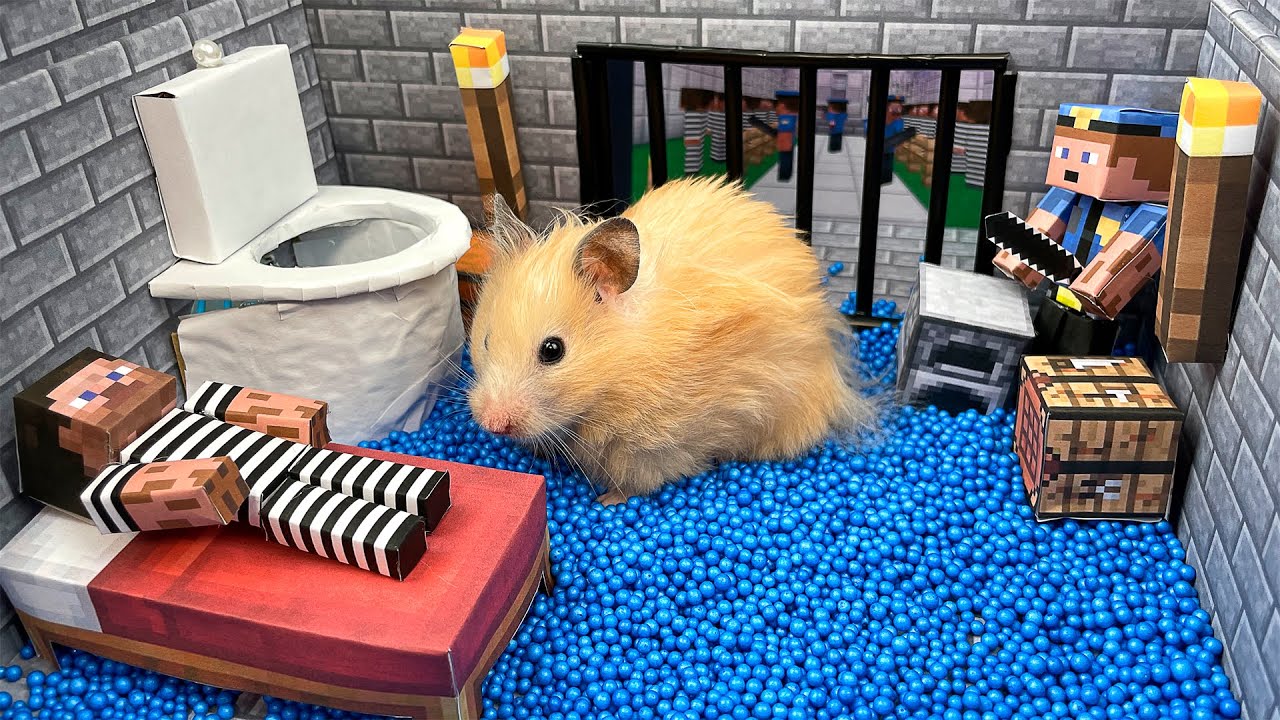 🐹 Хомяк сбежал из Лабиринта Майнкрафт тюрьмы! 😲 Реальные Ловушки полиции для Хомяка