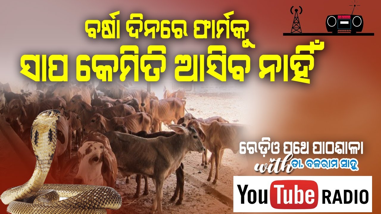 ବର୍ଷା ଦିନରେ ଫାର୍ମକୁ ସାପ ନ ଆସିବାର ଉପାୟ || EP 8 || Radio Pathe Pathasala with Dr. Balaram Sahu .