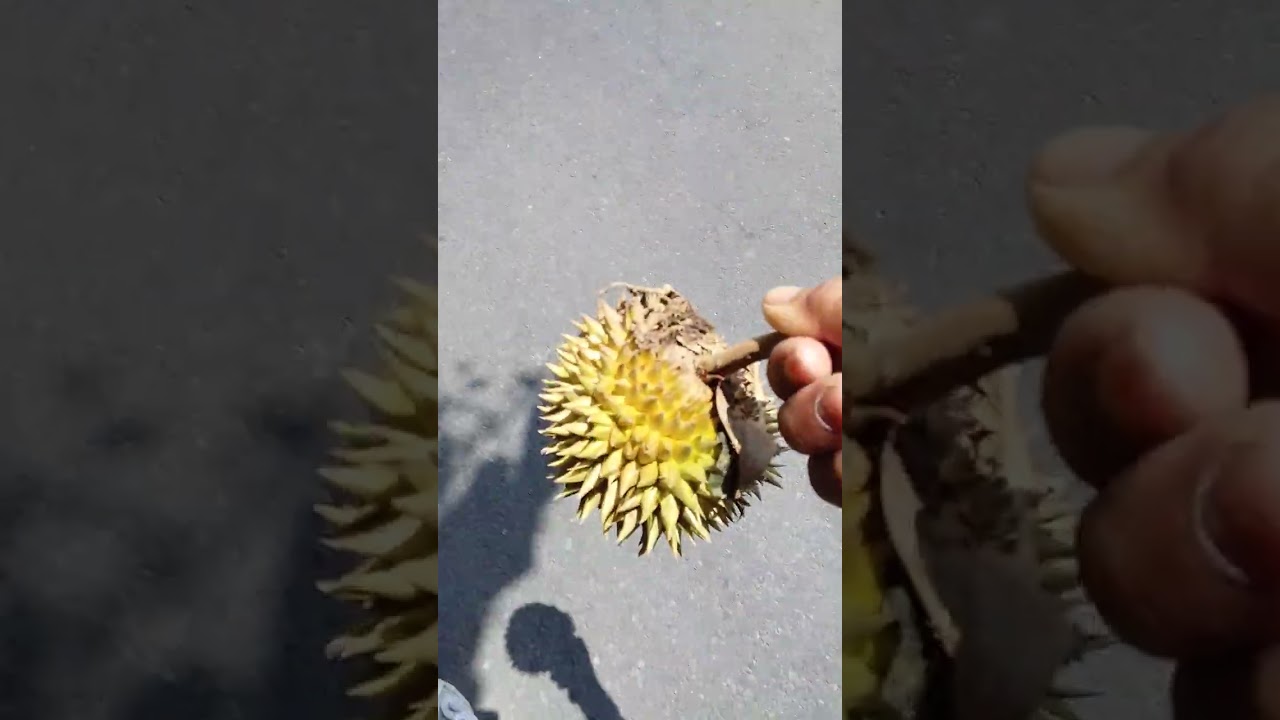 ALHAMDULILLAH,.... keindahan alam Denpasar Bali yang sangat menakjubkan,.