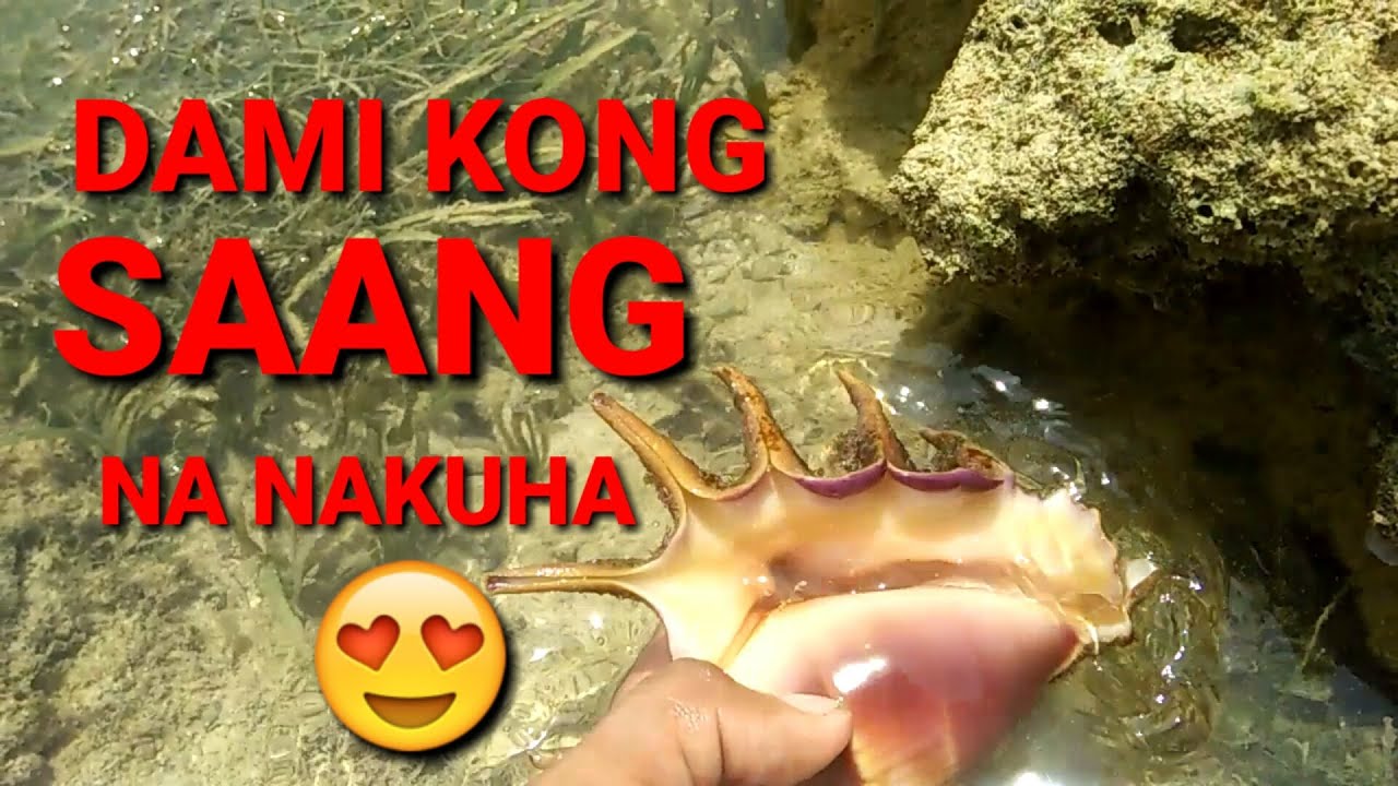 CATCHING SAANG vlog2