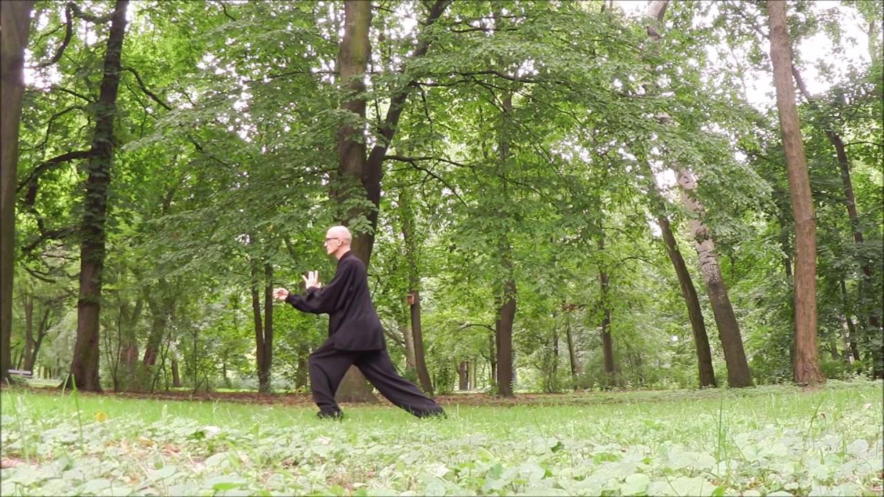 II część formy TAI CHI CHUAN - materiał szkoleniowy
