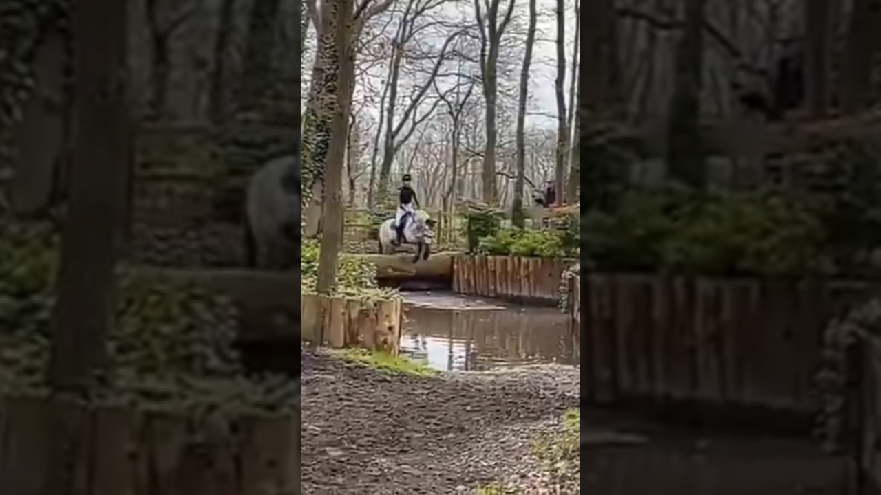 Eventing Norg, 31 maart 2024