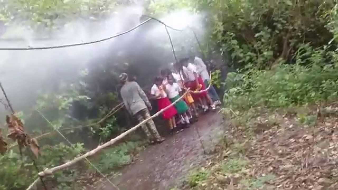 Vishnubaaug Rainforest