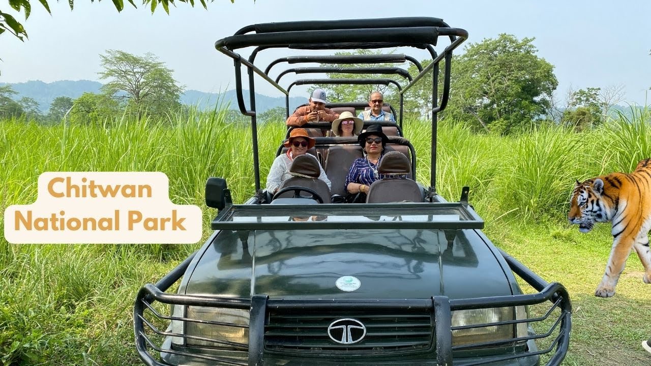 Jungle Safari in Chitwan National Park | Barahi Jungle Lodge