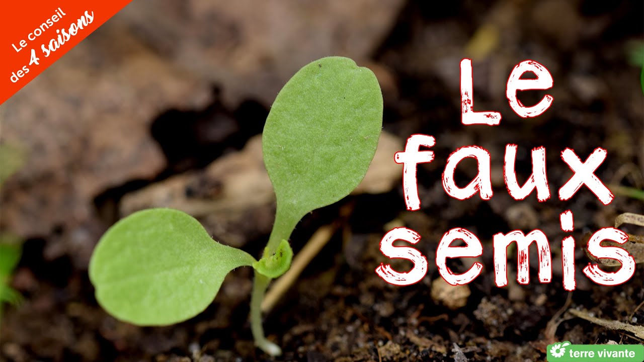Le faux semis au potager - Le conseil des 4 saisons