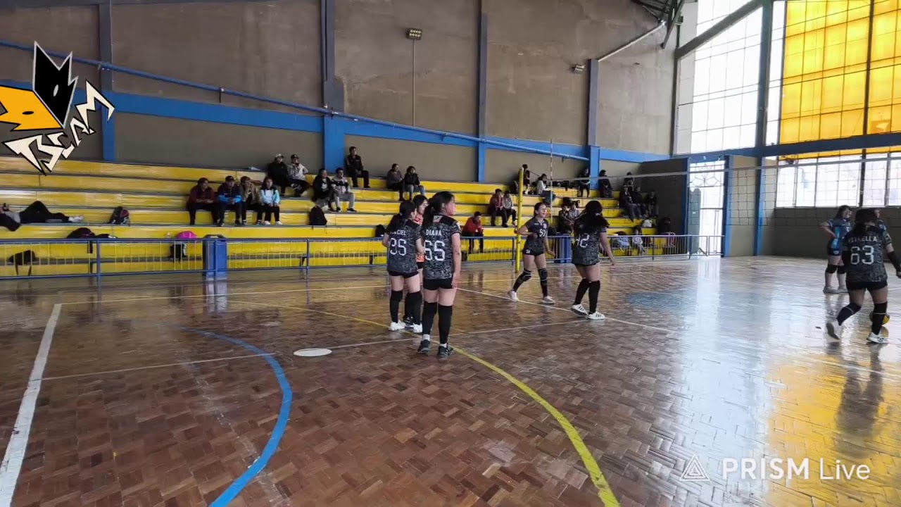 Transmisión en directo de VOLEIBOL